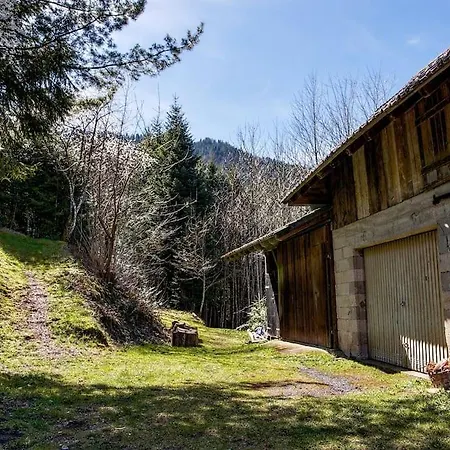 Waldeck: Wald Und Sauna Apartment