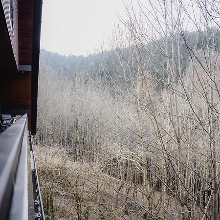 Apartment Waldeck Oppenau